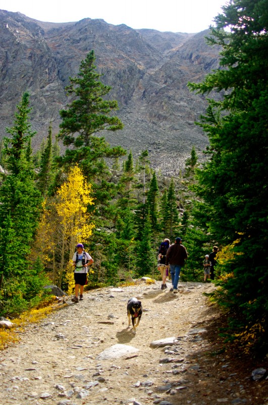 First part of the trail